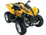 Can-Am  Renegade 800 R